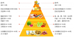 儿童妖精视频污污污app品牌厂家讲述营养在人的一生中起着至关重要的作用