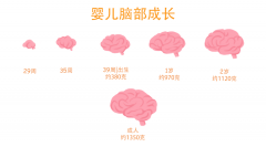 儿童智力测试评估系统有效促进儿童智力的发展